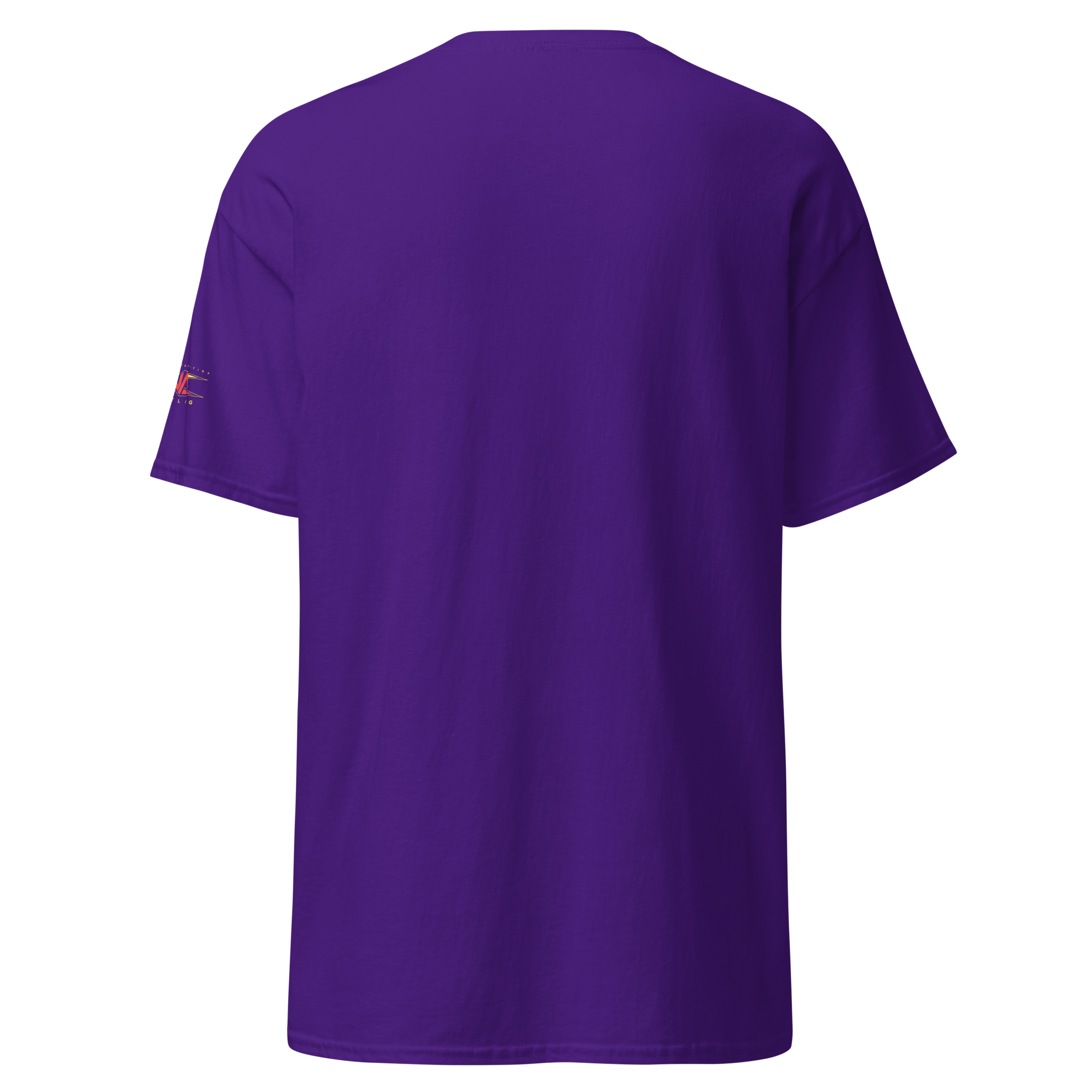 Hardys "4x World Tag Champions" T-Shirt