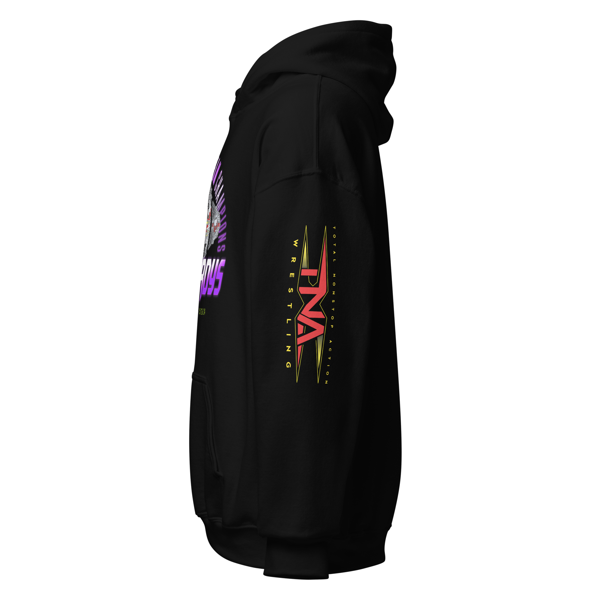 The Hardys "Tag Team Champions" Hoodie