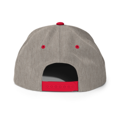 TNA Logo Snapback Hat