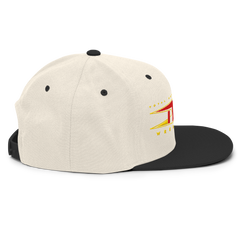 TNA Logo Snapback Hat