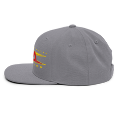 TNA Logo Snapback Hat