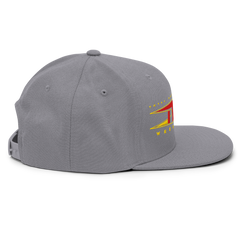 TNA Logo Snapback Hat