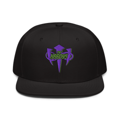 The Hardys "Distressed Infinity Logo" Snapback Hat