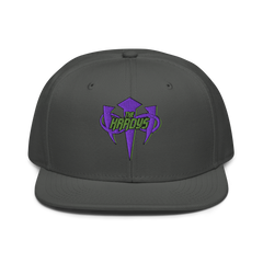 The Hardys "Distressed Infinity Logo" Snapback Hat