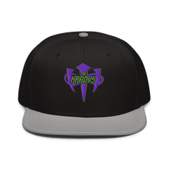 The Hardys "Distressed Infinity Logo" Snapback Hat